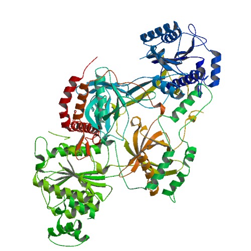 File:PBB Protein XRCC5 image.jpg