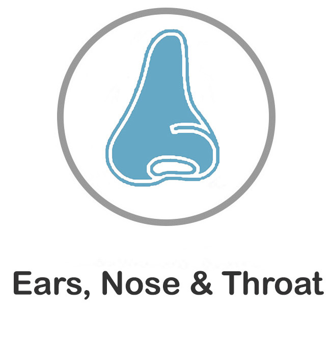 Ear,nose and throat.jpg
