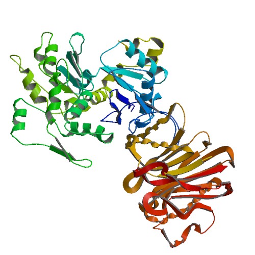 PBB Protein ACTA1 image.jpg