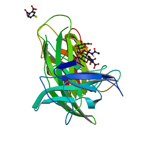 File:PBB Protein IL12B image.jpg