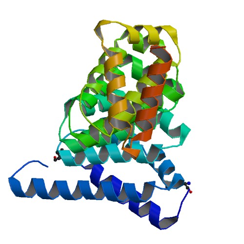 File:PBB Protein HSPBP1 image.jpg