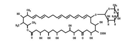 File:Nystatin structure.png