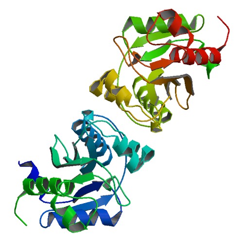File:PBB Protein ITPA image.jpg