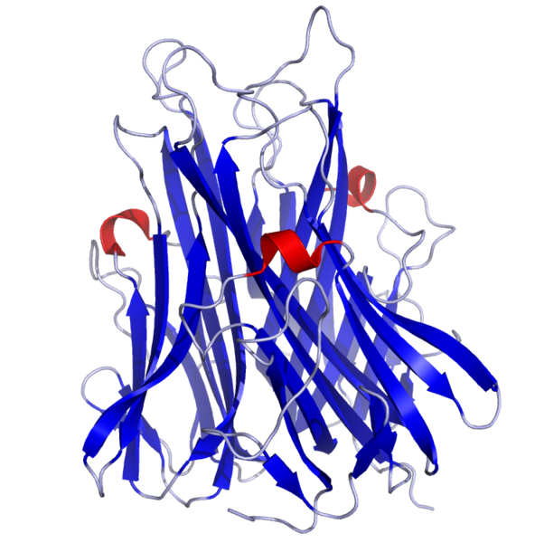 TNFa Crystal Structure.rsh.png