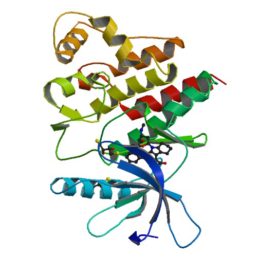 File:PBB Protein JAK3 image.jpg