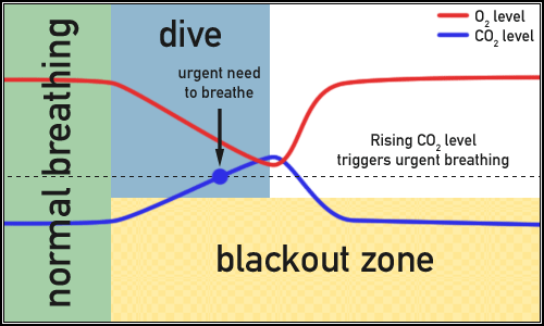 Shallow water blackout graph 1.png