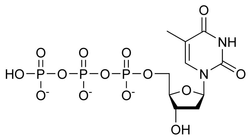 Chemical structure of thymidine triphosphate
