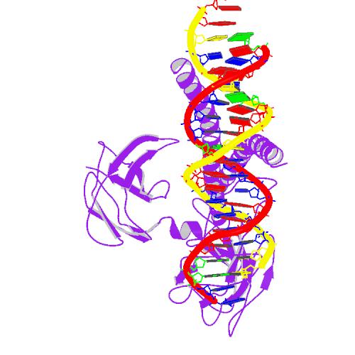 File:PBB Protein FOS image.jpg