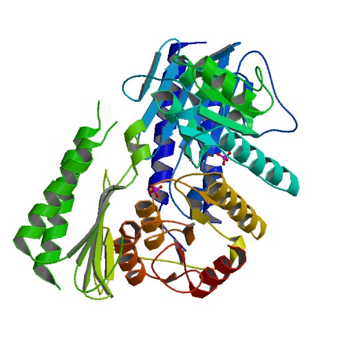 File:PBB Protein IMPA2 image.jpg