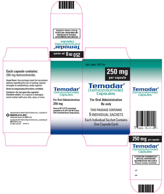 File:Temozolomide capsule 250mg.png