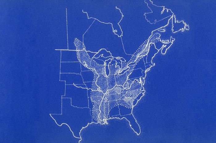 Map of eastern United States and Canada showing distribution of reported cases of blastomycosis. From Public Health Image Library (PHIL). [2]