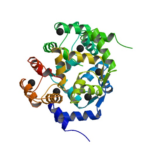 File:PBB Protein HPCAL1 image.jpg