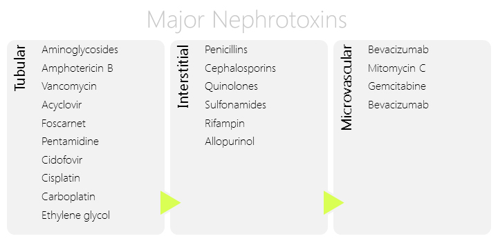 Nephrotoxins.jpg