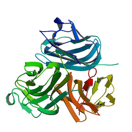 File:PBB Protein EDA image.jpg