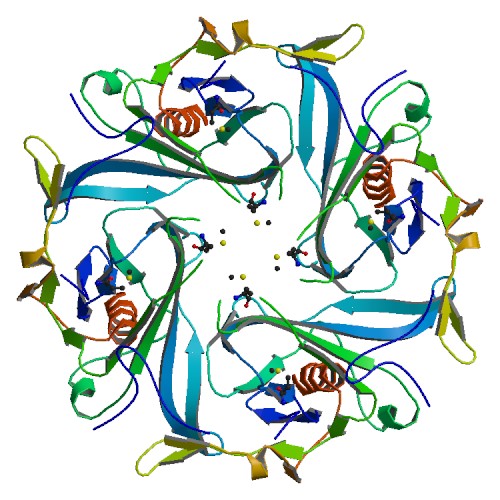 File:PBB Protein KCNJ3 image.jpg