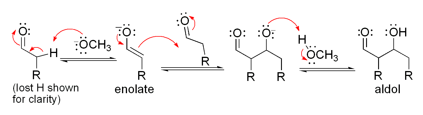 Mechanism for acid-catalyzed aldol reaction of an aldehyde with itself
