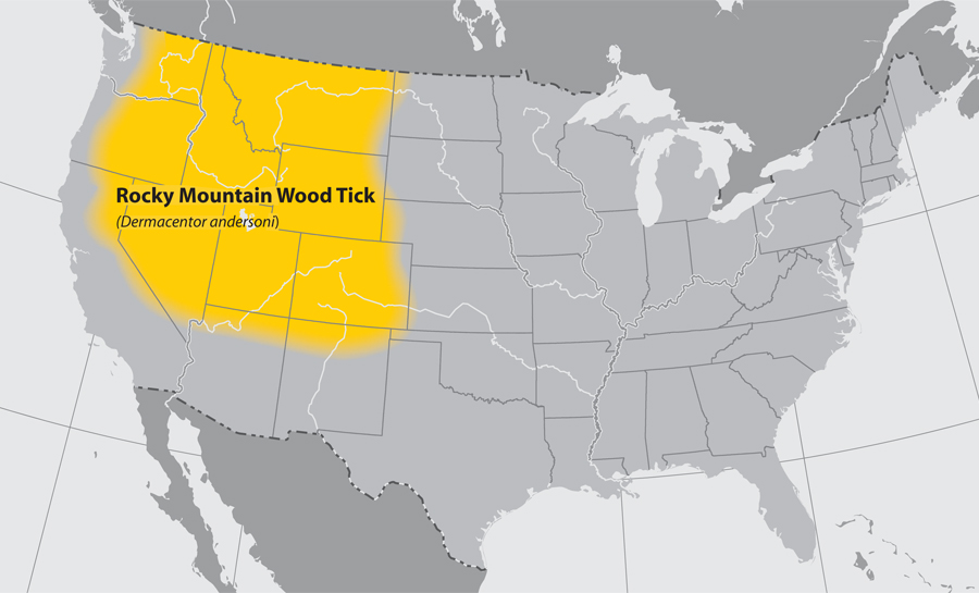 Approximate distribution of the Rocky Mountain Wood tick Adapted from CDC