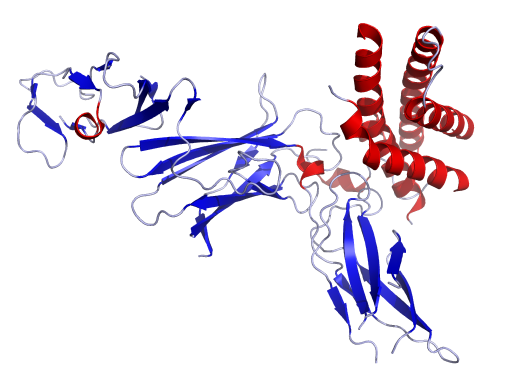 IL12 Crystal Structure.rsh.png