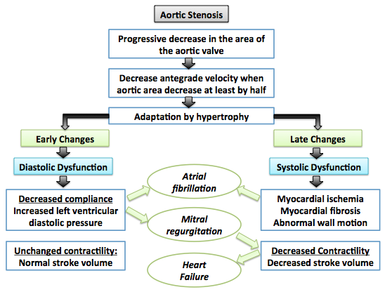 File:Pathophysiology of aortic stenosis.png
