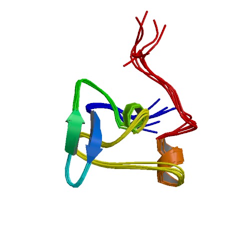 File:PBB Protein FBN1 image.jpg