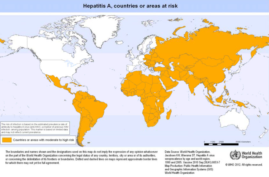 File:Hepatitis A.jpg