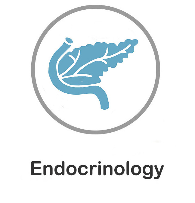 Endocrin.jpg