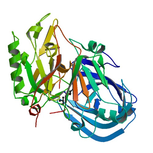 File:PBB Protein BACE1 image.jpg