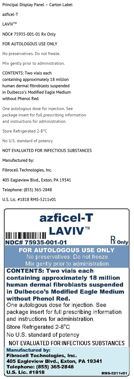File:Azficel-T PDP 2.png
