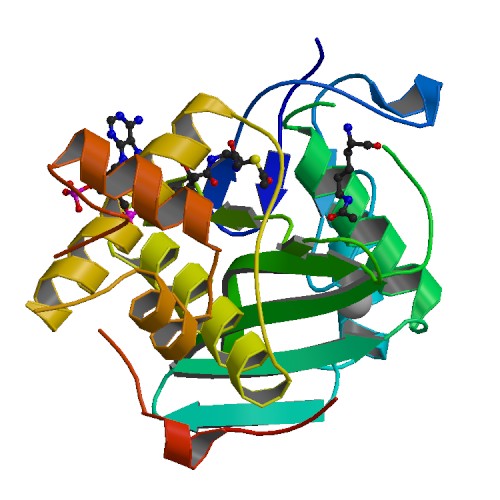 File:PBB Protein HTATIP image.jpg