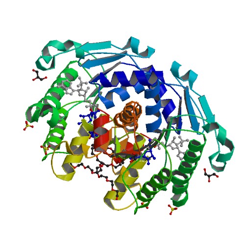 File:PBB Protein HTATIP2 image.jpg