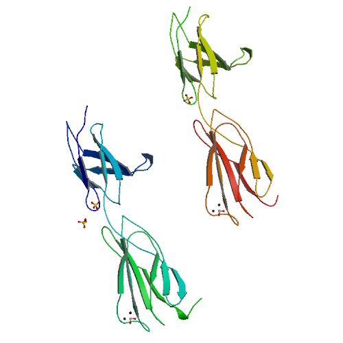 File:PBB Protein ITGB4 image.jpg