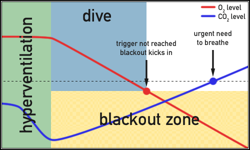 Shallow water blackout graph 2.png