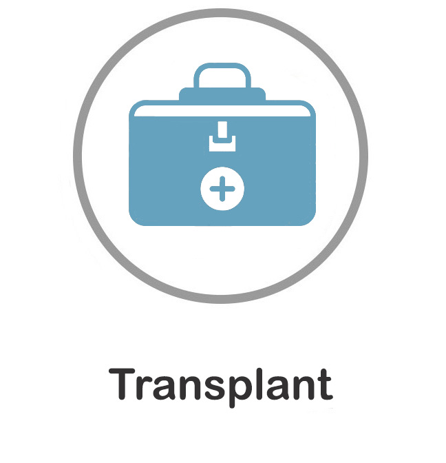 Transplant medicine.jpg