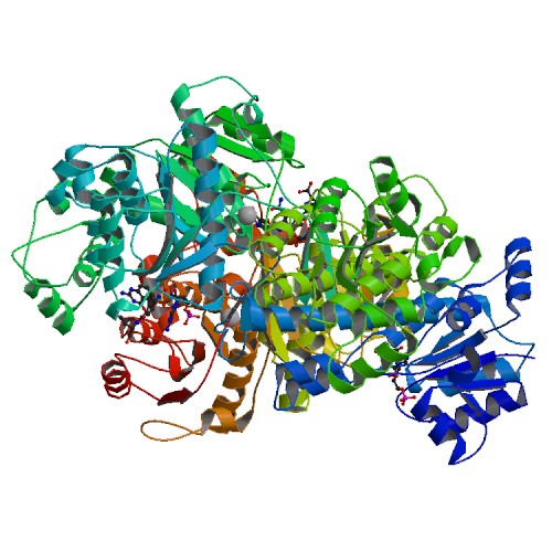 File:PBB Protein ATIC image.jpg