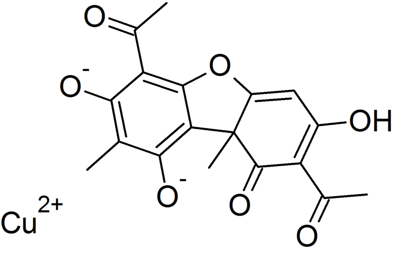 File:Structure of Copper usnate.png