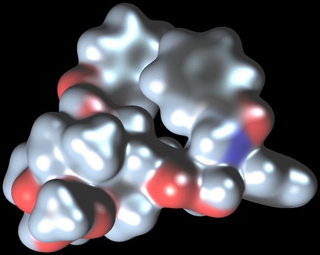 Model of the Paclitaxel molecule