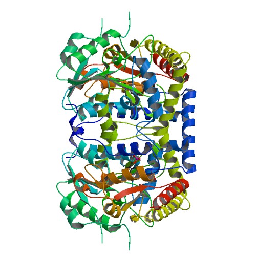 File:PBB Protein CCBL1 image.jpg