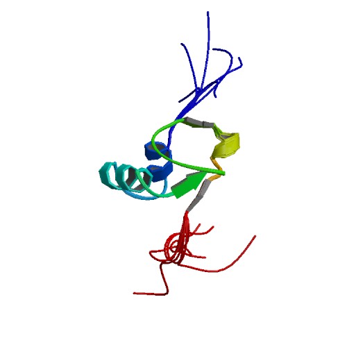 File:PBB Protein IMP3 image.jpg