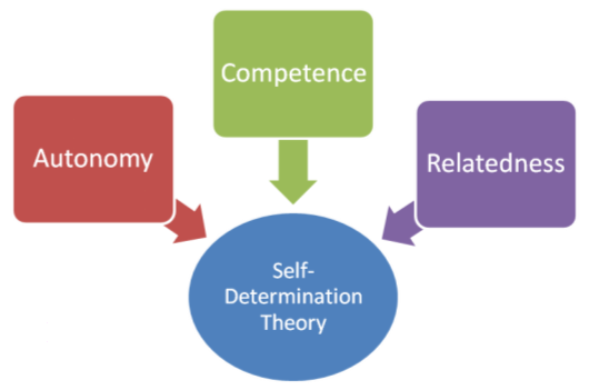 File:SelfDeterminationTheory.png