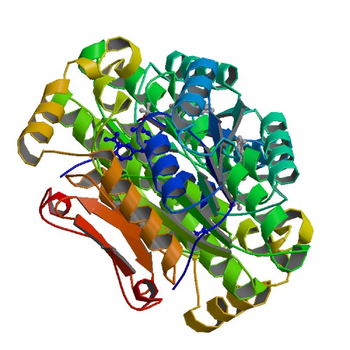 File:PBB Protein HPGD image.jpg