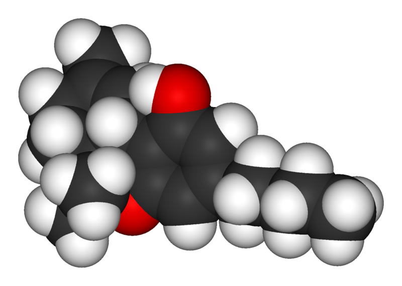 Tetrahydrocannabinol-3D-vdW-2.png