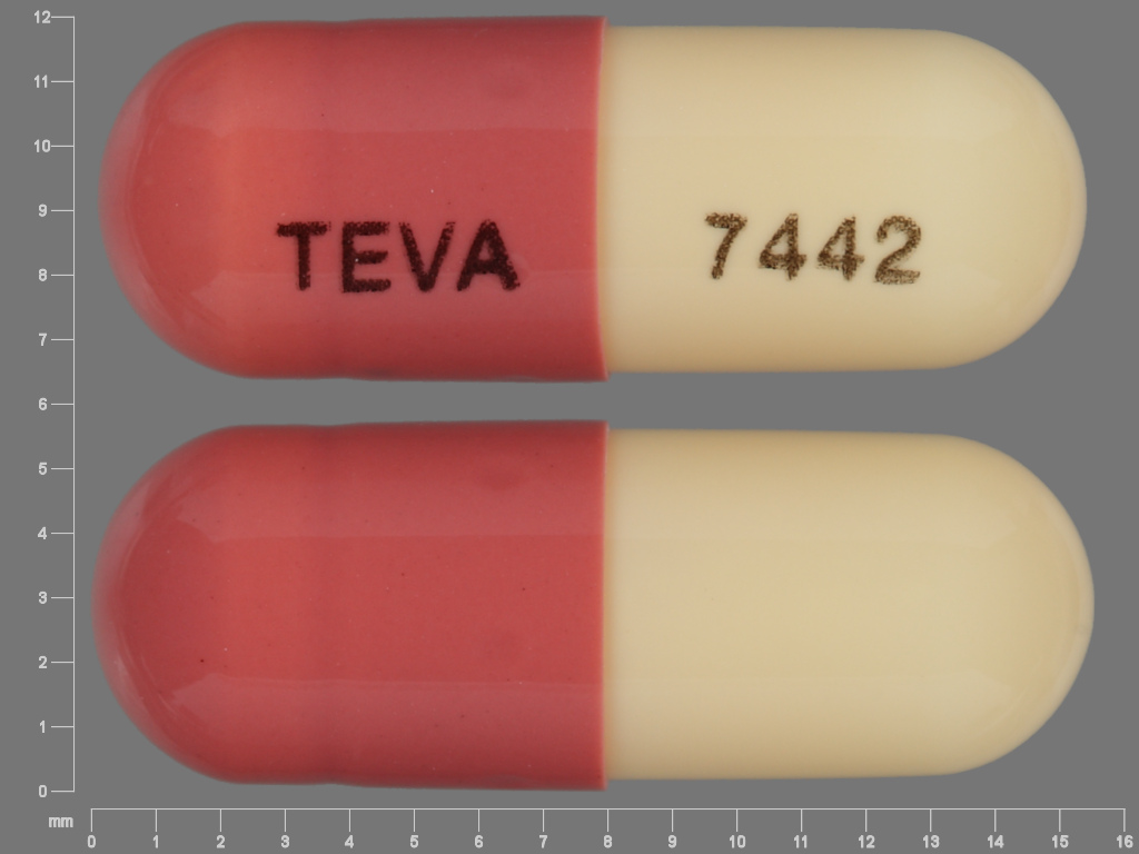 Fluvastatin 20 mg NDC 0093-7442.jpg