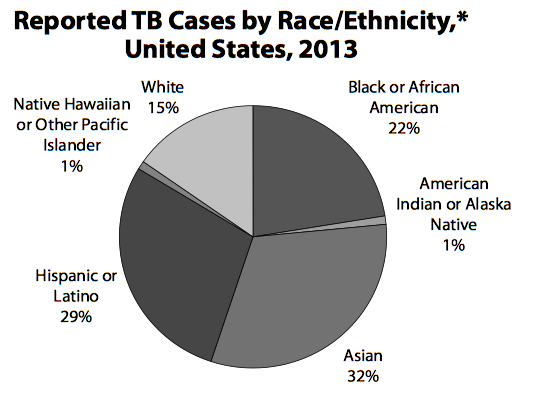 File:Ethnicity, United States, 2013(2).png