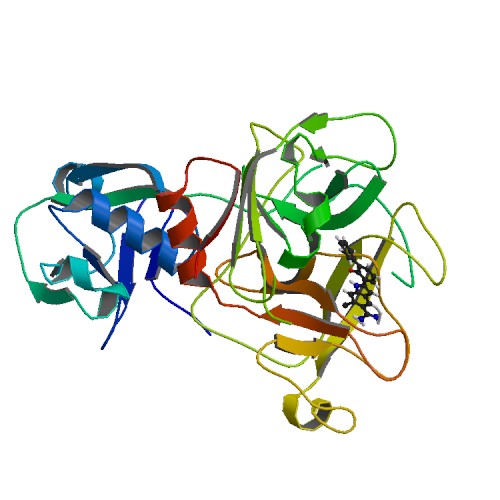 File:PBB Protein HPN image.jpg