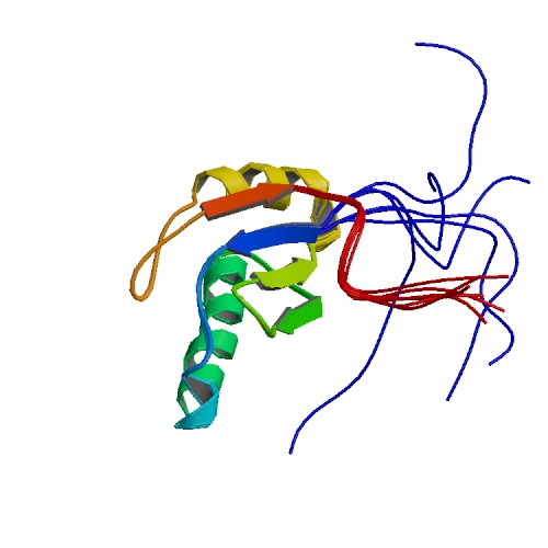 File:PBB Protein HTATSF1 image.jpg