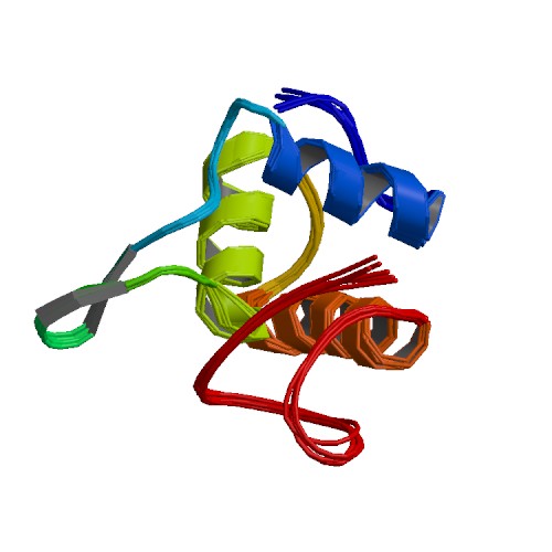 File:PBB Protein DVL1 image.jpg