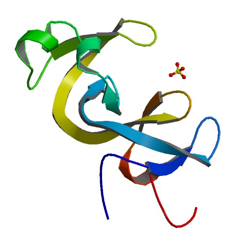 File:PBB Protein JMJD2A image.jpg