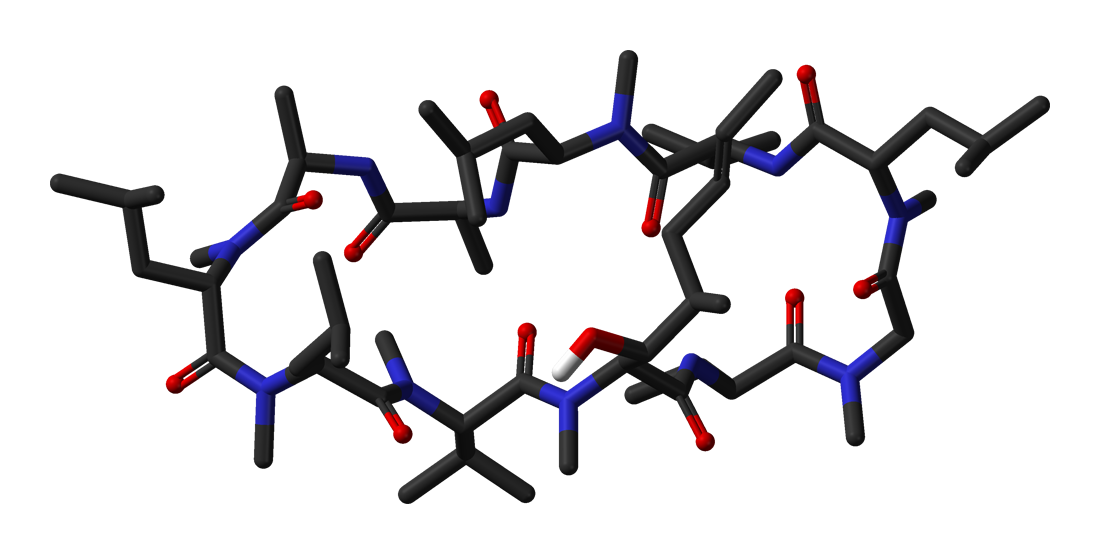 File:Ciclosporin-A-neutron-3D-sticks.png