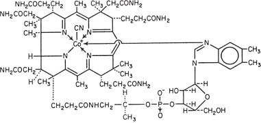 Cyanocobalamin structural formula.jpg