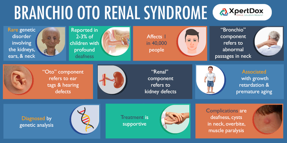 File:Branchio-oto- renal syndrome.jpg